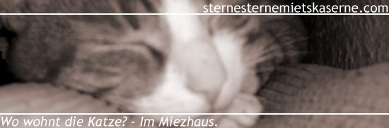 Miez, miez!